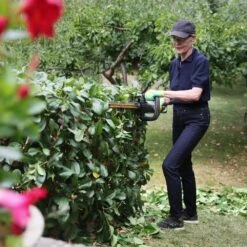 Pack Taille-haies Sur Batterie 18v Lamier 51cm Texas Hedge 200 Chargeur Inclus -Outils De Jardin 63503efdbf5e34.79098694