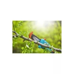 Gardena Elagueuse Sur Perche Tcs 20/18v P4a Sans Batterie 10 Gardena Elagueuse Sur Perche Tcs 20/18v P4a Sans Batterie -Outils De Jardin 641da6726f15b1.32290024