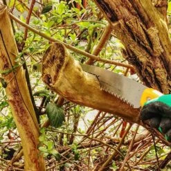 Scie D'élagage Orca 485 Mm -Outils De Jardin 647989a0b696a7.10727540