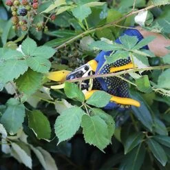 Sécateur De Contournement De Jardin Z-19 200 Mm -Outils De Jardin 64798cc454e176.12107553