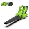Greenworks Aspirateur De Pelouse à Main 40 V Vert 2 Greenworks Aspirateur De Pelouse à Main 40 V Vert -Outils De Jardin 6480d34fcb9c92.79047997