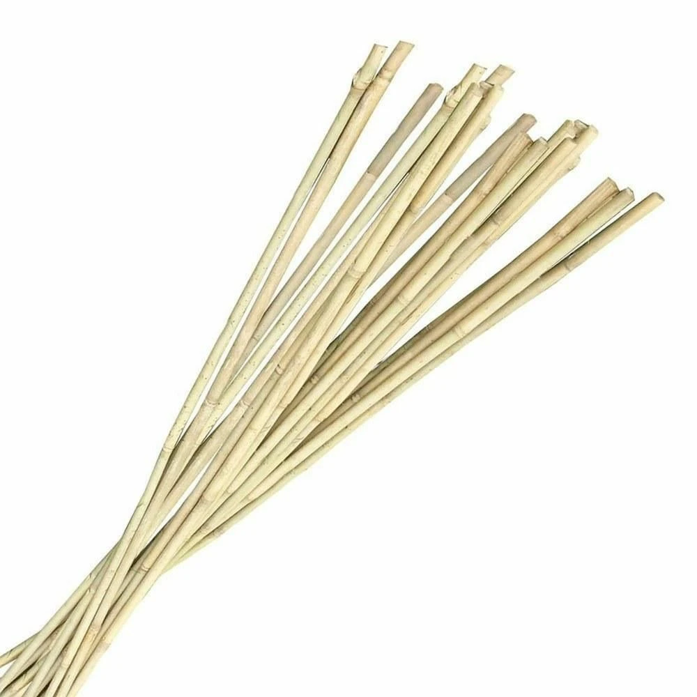 Gardman Tuteur Bambou 1m50 (lot De 20) 3 Gardman Tuteur Bambou 1m50 (lot De 20)