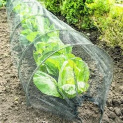 Tunnel à Potager En Fil Tissé -Outils De Jardin 648b4e3d6c8794.97246947